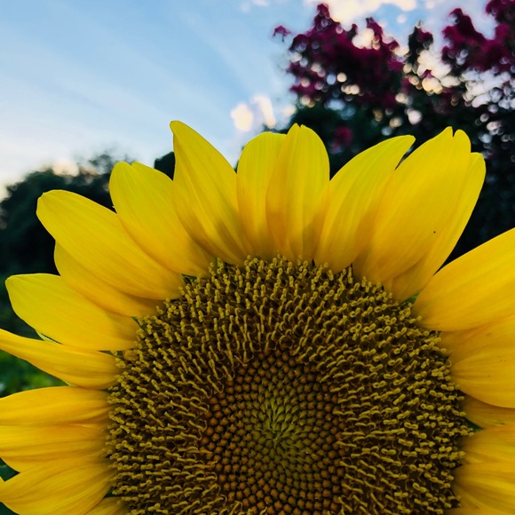 Meet your Posher, Bri - Picture 1 of 1